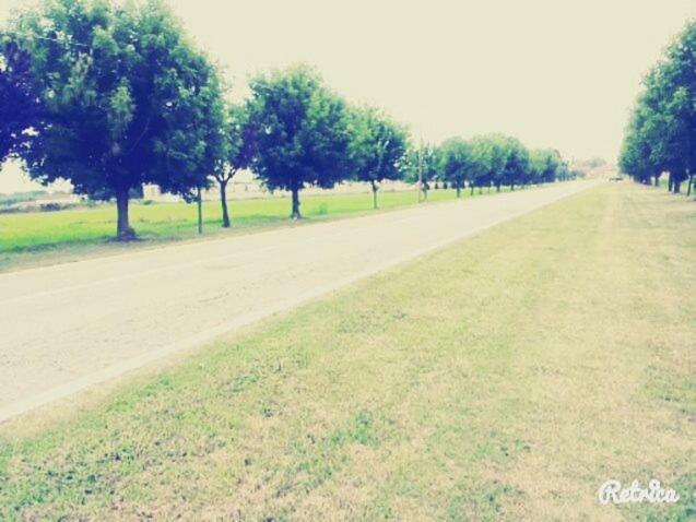 Bed and Breakfast Gaietta Frassineto Po Екстер'єр фото